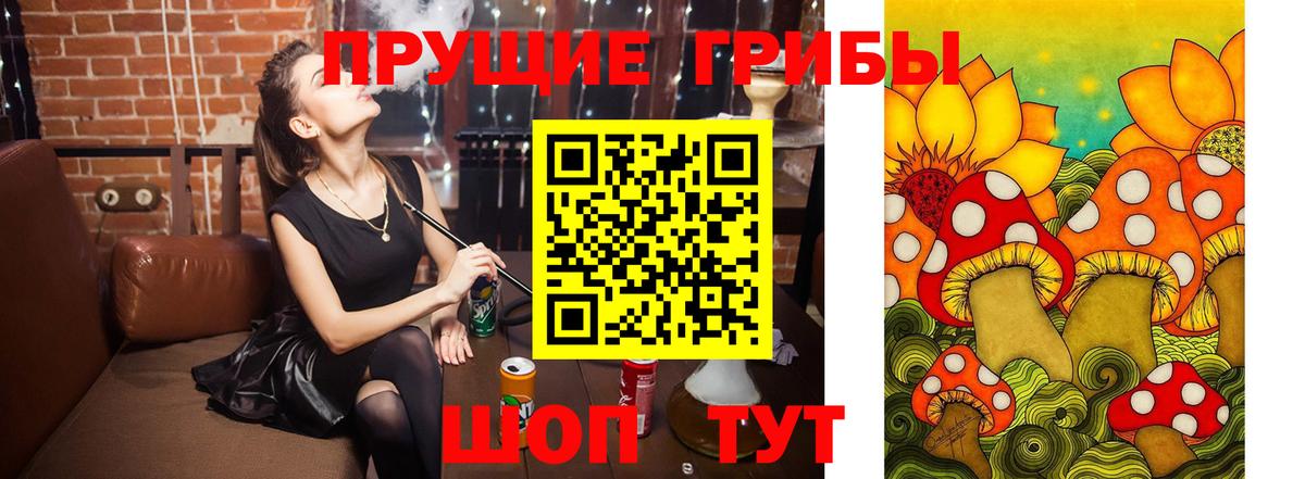 Псилоцибиновые грибы MAGIC MUSHROOMS  Вход с VPN  Пыть-Ях  Галлюциногенные грибы MAGIC MUSHROOMS 